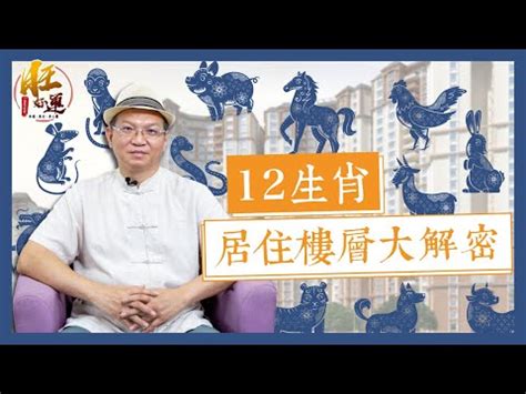 屬豬適合的樓層|【屬豬樓層】屬豬之人的樓層風水，助你運勢亨通，財富滾滾來